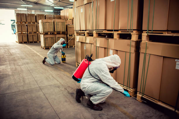 Best Cockroach Control Services  in New Smyrna Beach, FL