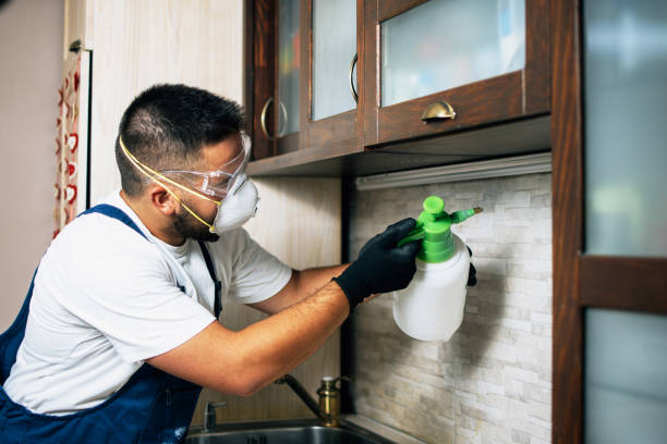 Best Bed Bug Extermination  in New Smyrna Beach, FL
