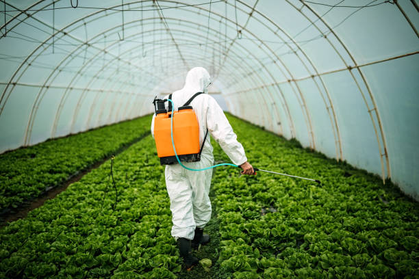 Best Pest Inspection Near Me  in New Smyrna Beach, FL