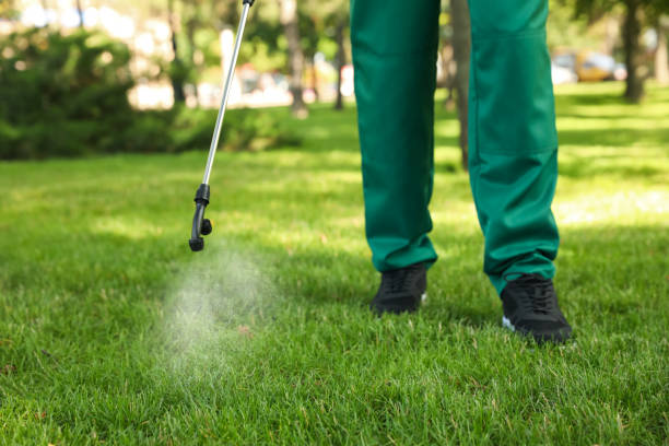 Best Termite Control Services  in New Smyrna Beach, FL