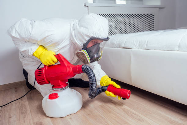 Reliable New Smyrna Beach, FL Pest Control Solutions